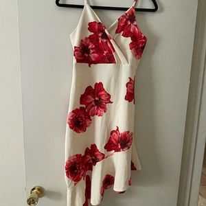 Cream colored with red floral dress never worn